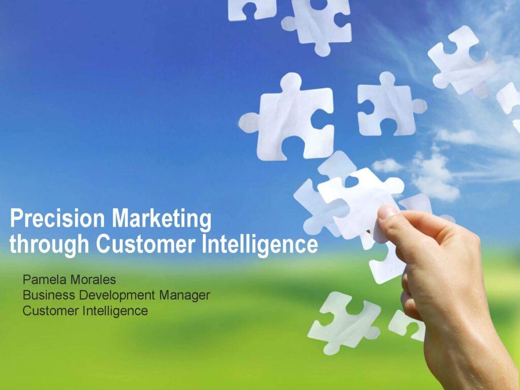 Precision Marketing through Customer Intelligence
